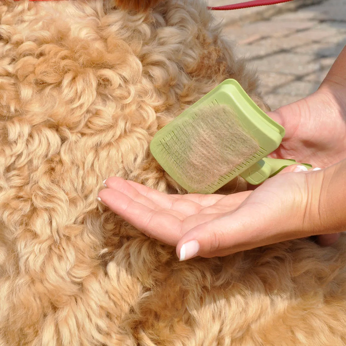 Safari Self Cleaning Dog Slicker Brush