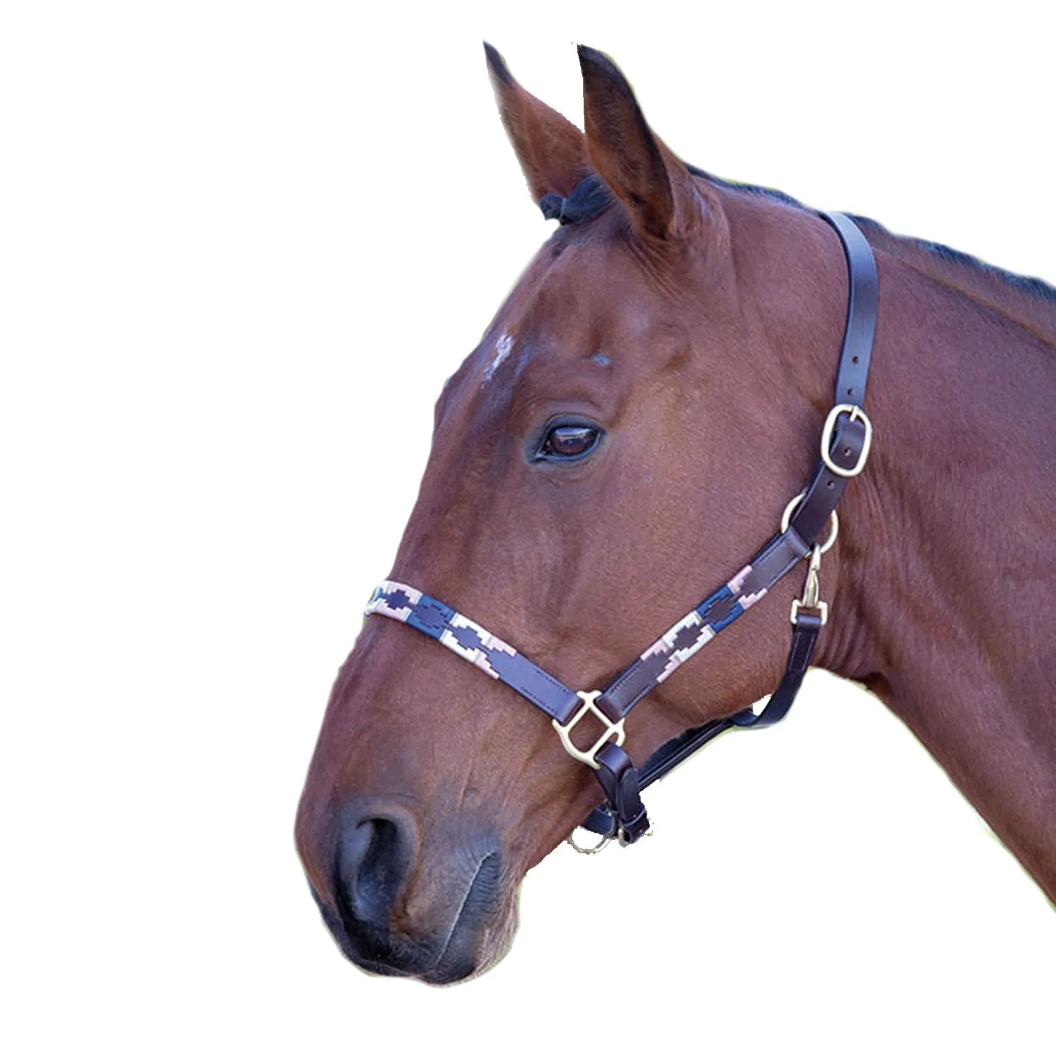 Shires Blenheim Leather Polo Headcollar