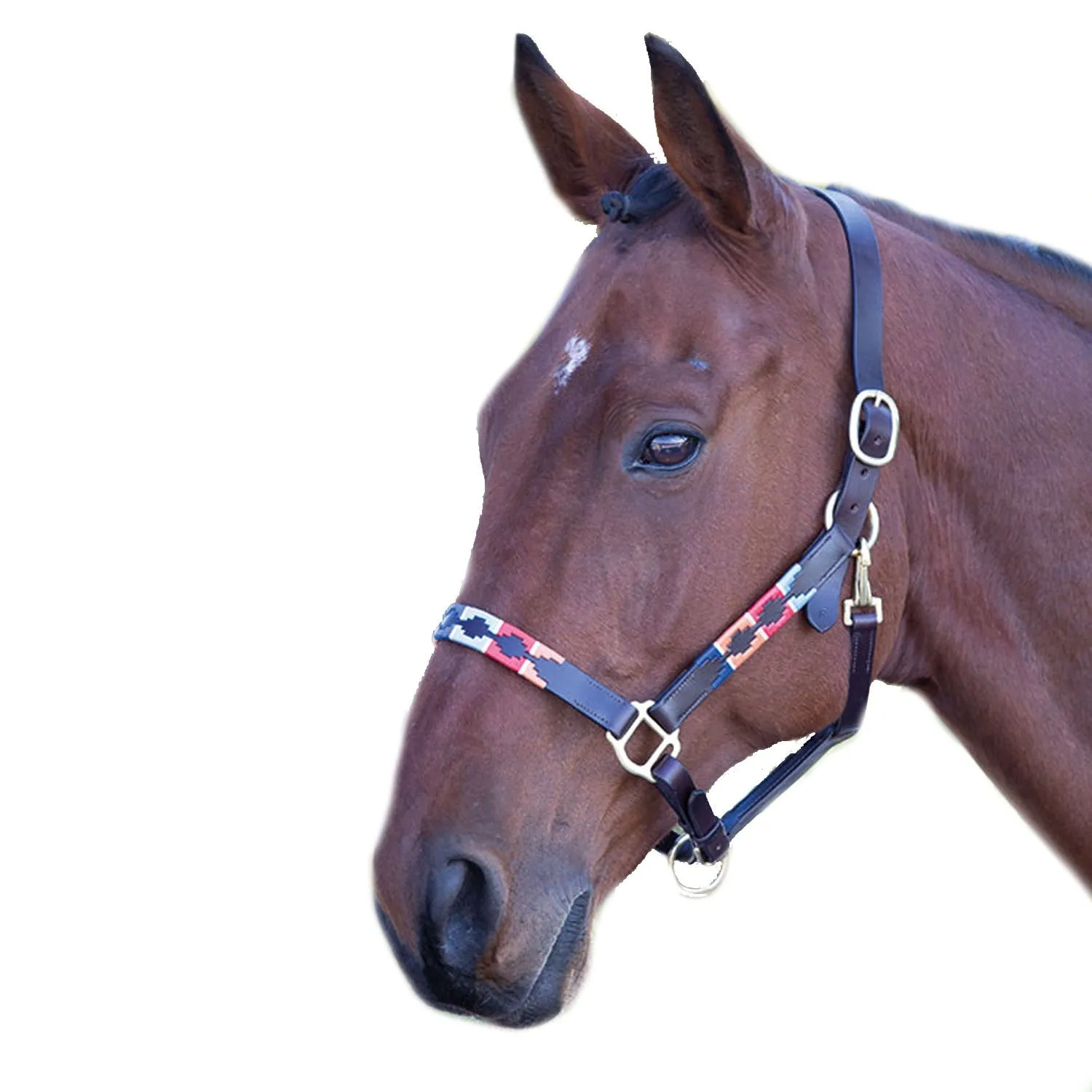 Shires Blenheim Leather Polo Headcollar