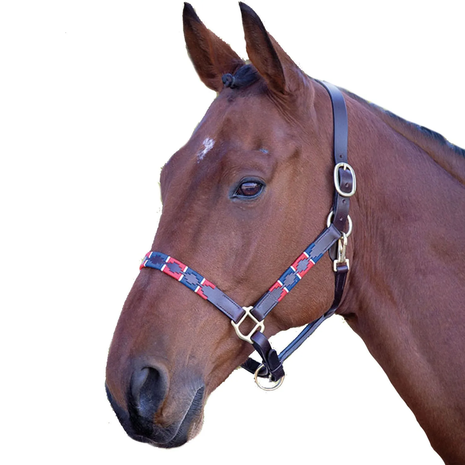 Shires Blenheim Leather Polo Headcollar