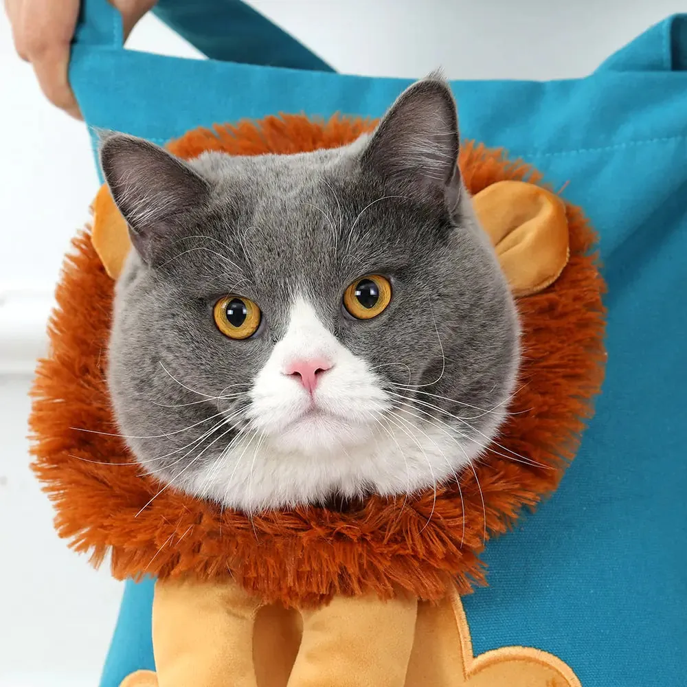 Soft Breathable Lion Design Pet Carrier