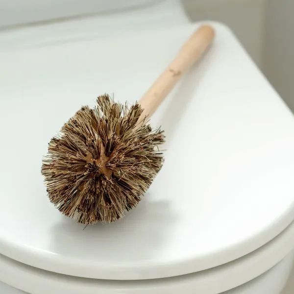 Toilet brush and holder