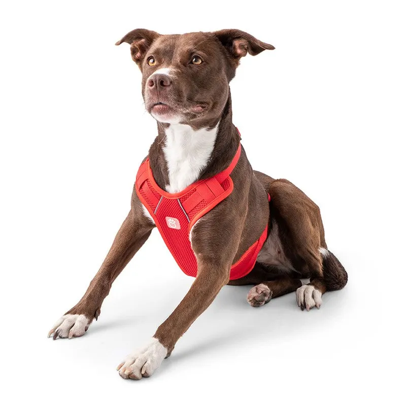 Travel Harness - Red: Secure Comfort for Your Dog