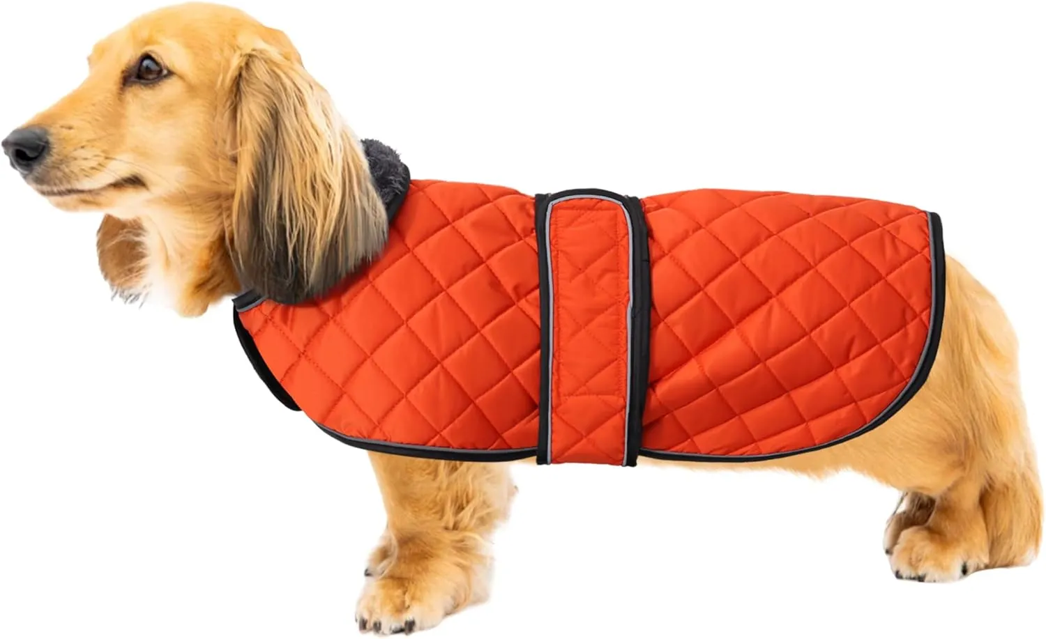 Warm Thermal Quilted Dachshund Coat, Dog Winter Coat with Warm Fleece Lining, Outdoor Dog Apparel with Adjustable Bands for Medium, Large Dog-Orange-S