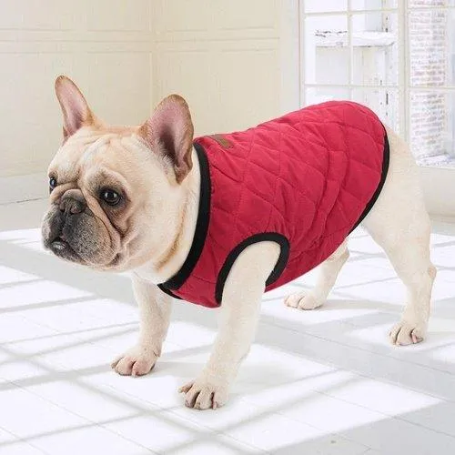 Warm Vest Pet Apparel