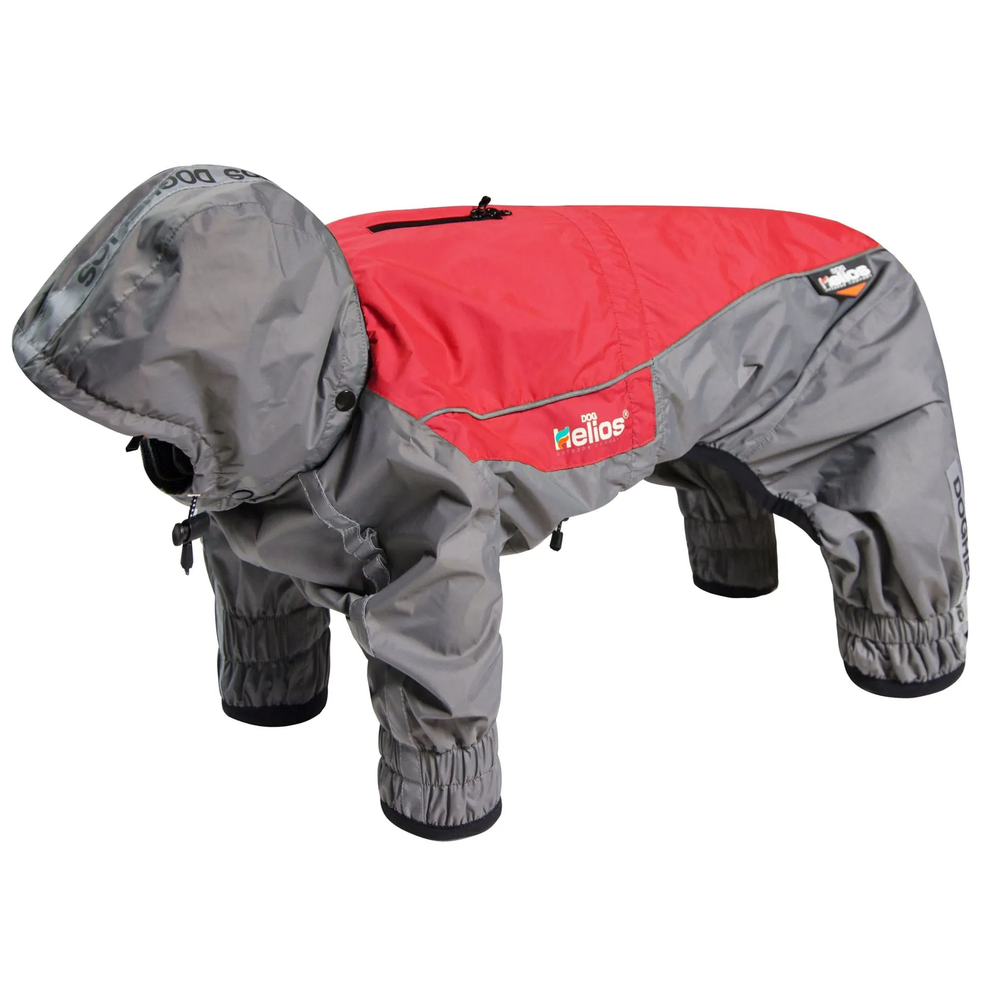 Winter dog coat