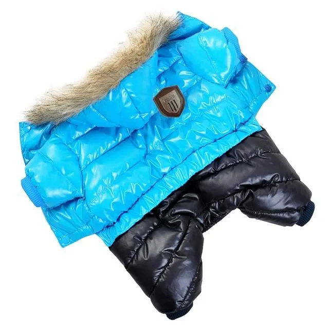 Winter Jacket for Dogs