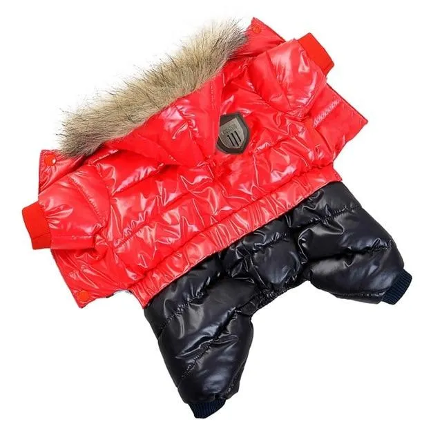 Winter Jacket for Dogs