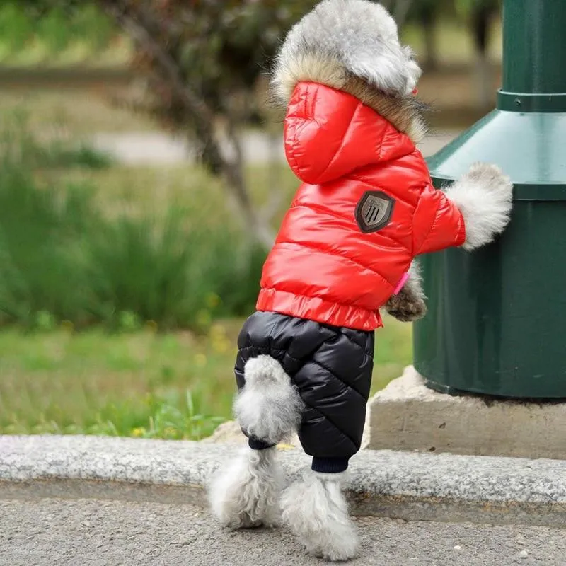 Winter Jacket for Dogs