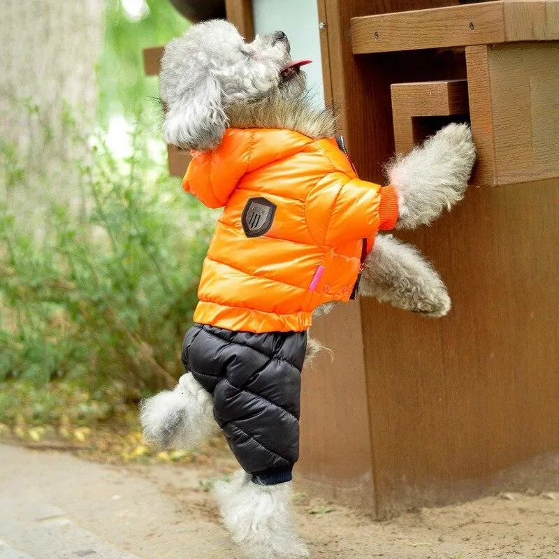Winter Jacket for Dogs