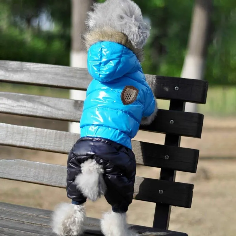 Winter Jacket for Dogs