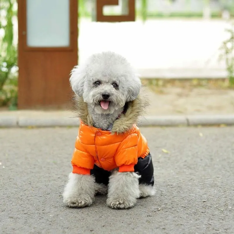 Winter Jacket for Dogs