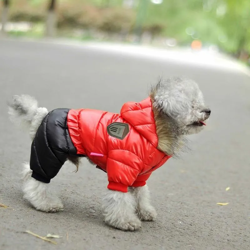 Winter Jacket for Dogs