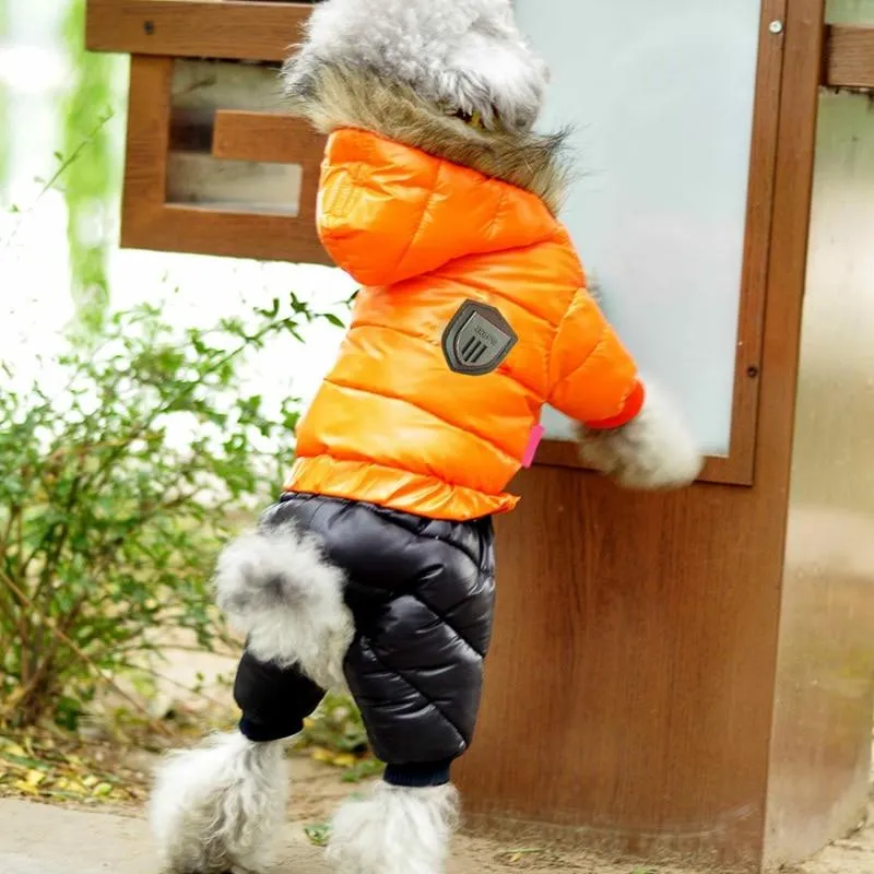 Winter Jacket for Dogs