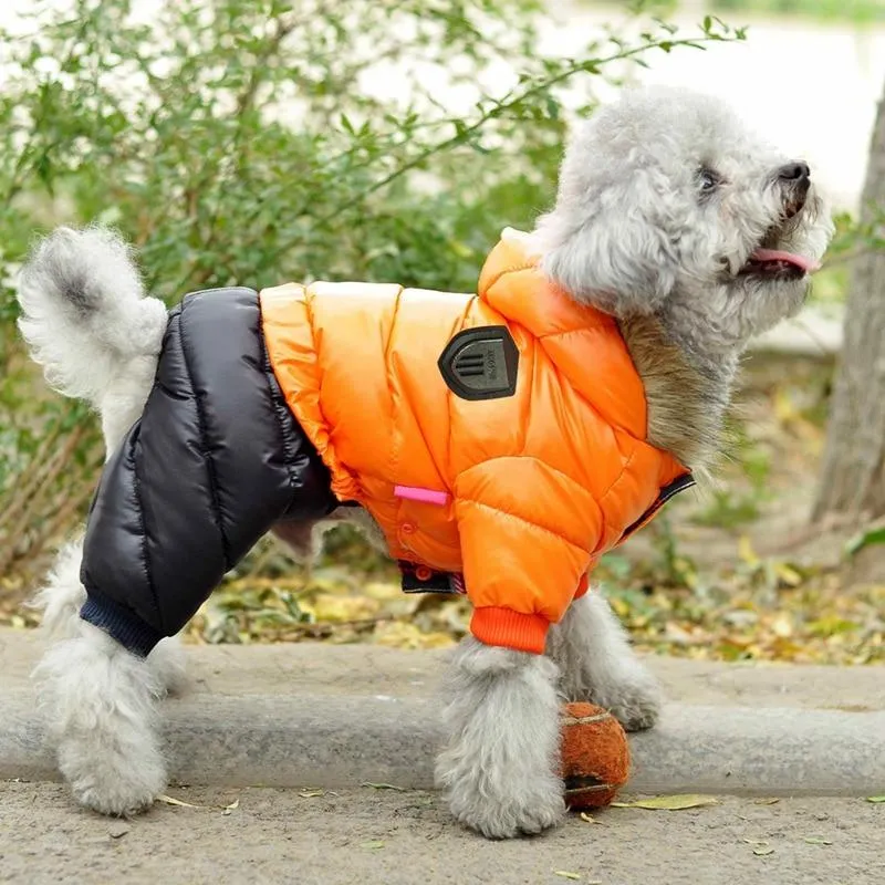 Winter Jacket for Dogs